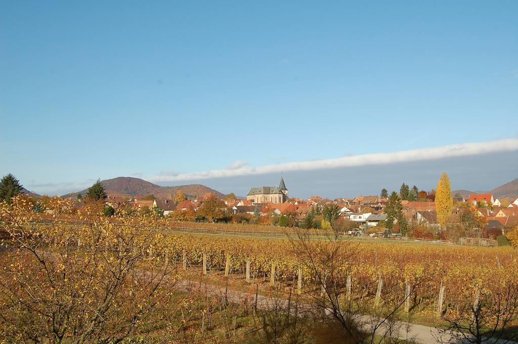 Gaestehaus Kleine Kalmit Landau in der Pfalz Buitenkant foto